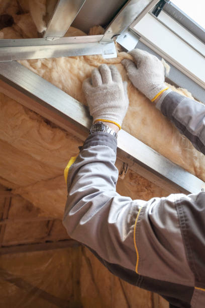 Best Attic Insulation Installation  in Troy, IL