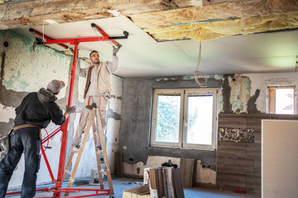 Best Insulation Removal  in Troy, IL