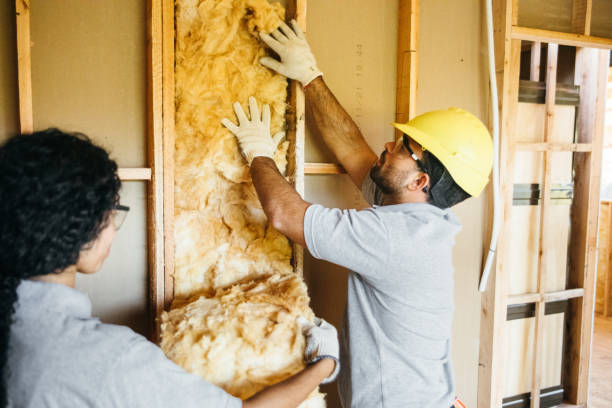 Best Insulation for New Construction  in Troy, IL