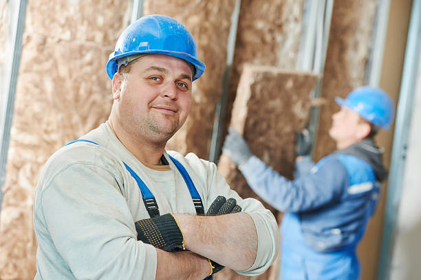 Best Insulation Contractors for Homes  in Troy, IL